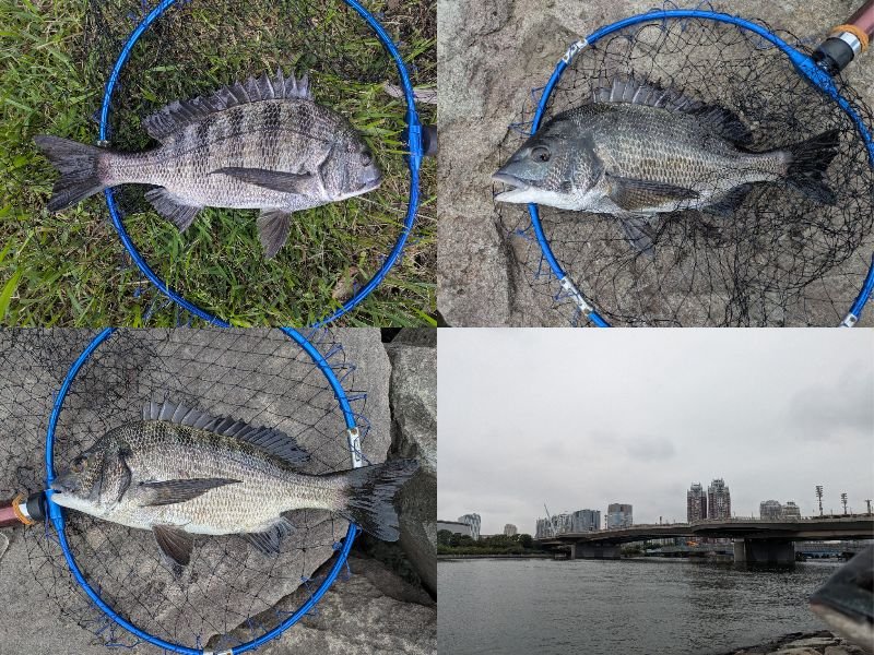 edo294's tweet photo. 夕マヅメ👰🏼‍♂️🙏
👀🐟️多いがソッポをむかれる
ヤットの5-4-3 https://t.co/Qvow79YQd7