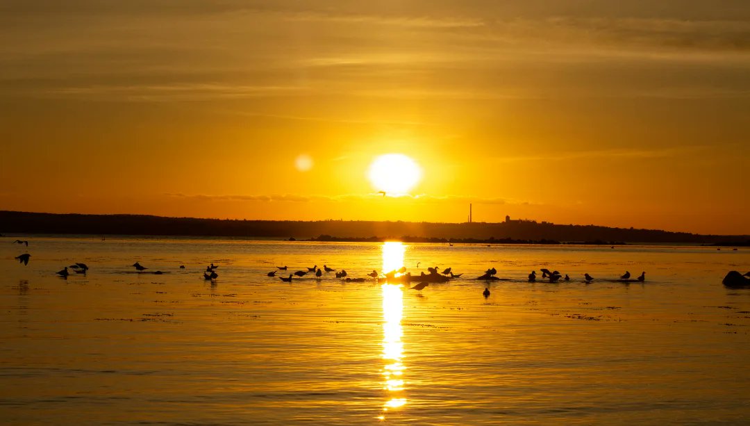 SanHarry1D's tweet photo. The horizon hums in orange and gold https://t.co/EUuwhNRdaD