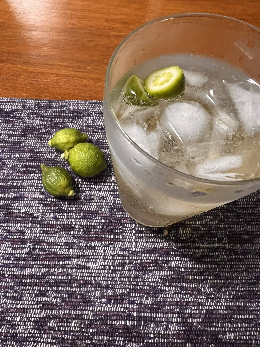 JunKo_smoothie's tweet photo. 間引いたレモンが勿体ないから香り付けに入れるん🥃
#鉢植えレモン https://t.co/q6dhTBB2Sa
