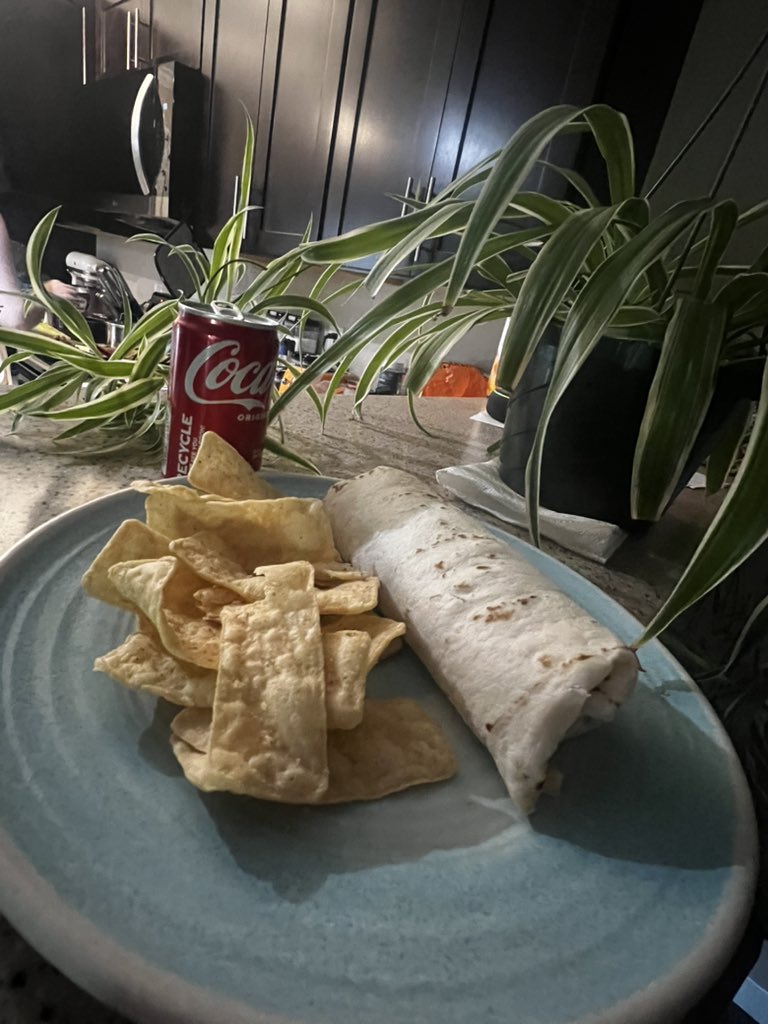 nyctobeetle's tweet photo. burrito from the other night god i love my chef boyfriend https://t.co/5RQfWFQZ9k