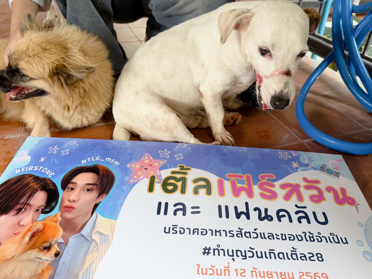 Ploynatcha_p's tweet photo. ขอบคุณติดฝนทุกคนนะคะ ที่ร่วมโปรเจค #ทำบุญวันเกิดเติ้ล28ปี ในครั้งนี้นะคะ
 
ขอบคุณสำหรับรูปกิจกรรม :@_kwanja 
ขอบคุณผู้ที่ร่วมโปรเจค และทุกคนที่คอยซพ. ช่วยเหลือทุกอย่างนะคะ💚🙏🏻 
 : @tiwry53 @razsa_ch @junior_foryou @Jerryyyjhfh @toptaptoptap @Chiran_cr @SunNatt45 @Soulmate2H @Kaewu2tv 

#TLE_mtm #TleFirstone