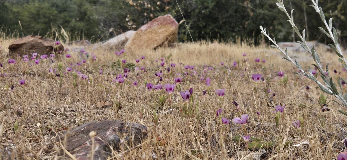 FreidaKlasppfu's tweet photo. 無数の選択肢が、水面に落ちた雫のようにさざ波を広げて消えていく。 https://t.co/GdwVdg94jk