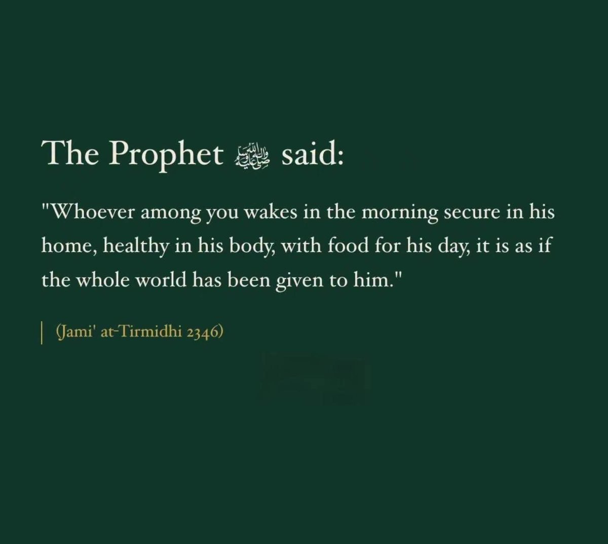 MohammadAarifPR's tweet photo. https://t.co/EpNNWfCqVJ