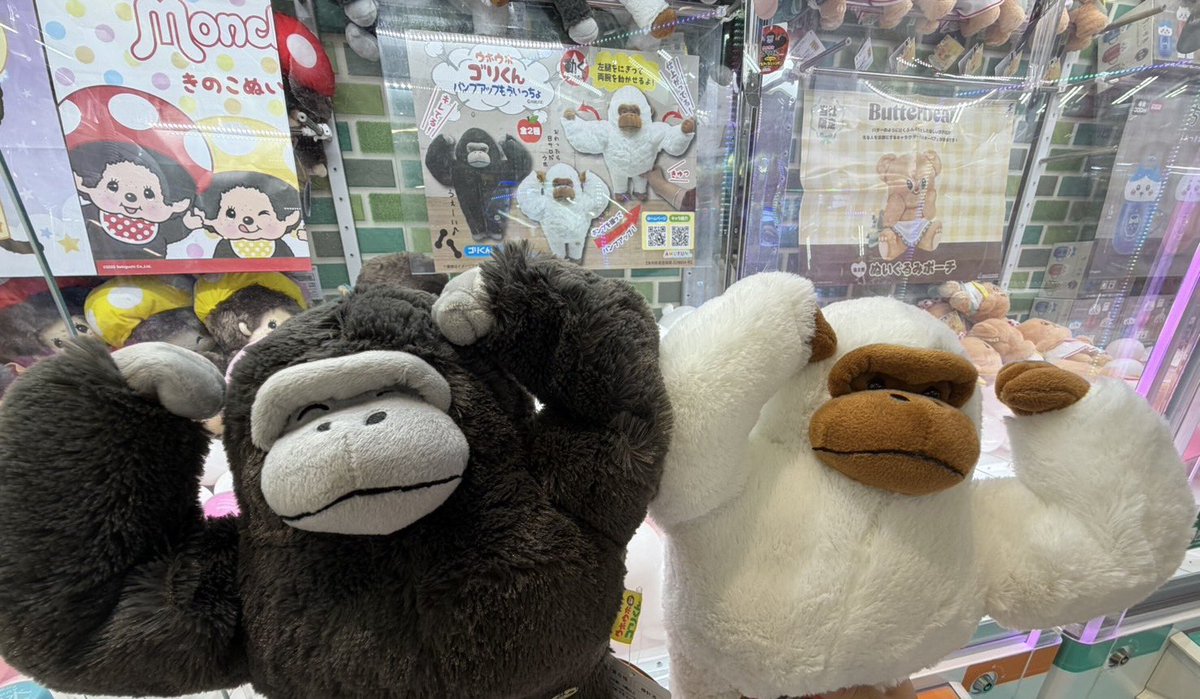changorihouse's tweet photo. やっと出会えた〜パンプアップ
探してたよ😆さぁ一緒に帰ろ
#ウホウホゴリくん
#パンプアップジャンボ
#ぬい活
#ウホウホゴリラ
⚠️大きい虫の音に注意 https://t.co/6HIsK261yL