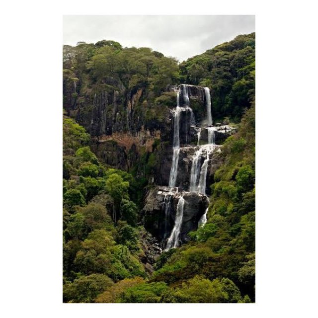 EverydayMbeya's tweet photo. To Sanje waterfalls, Udzungwa Mountains Nation Park. #everydaymbeya #udzungwa #sanje #tanzaniaparks https://t.co/XcZBSm6V9s