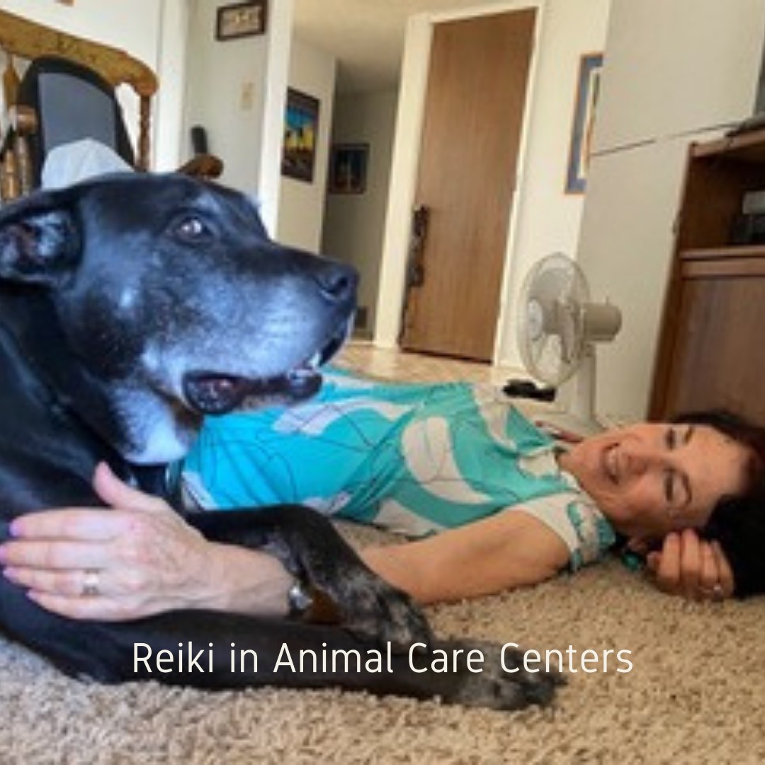 TaliaLorah's tweet photo. Reiki in Animal Care Centers

Are you an animal lover? If so, you’ll enjoy this article. Find it in the “Animal Reiki” category. https://t.co/tFXKpuWsag