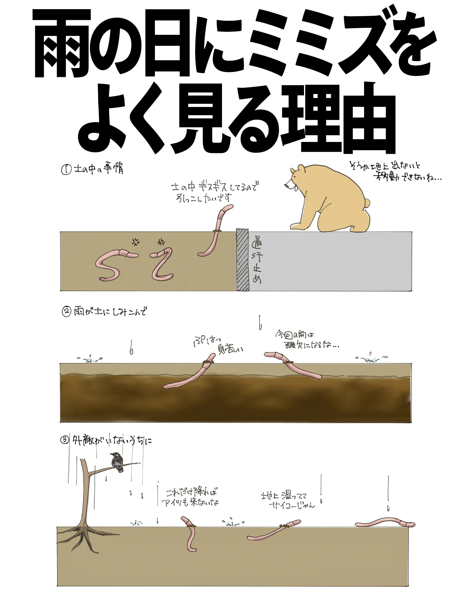 猫乃宮さくら on X: 