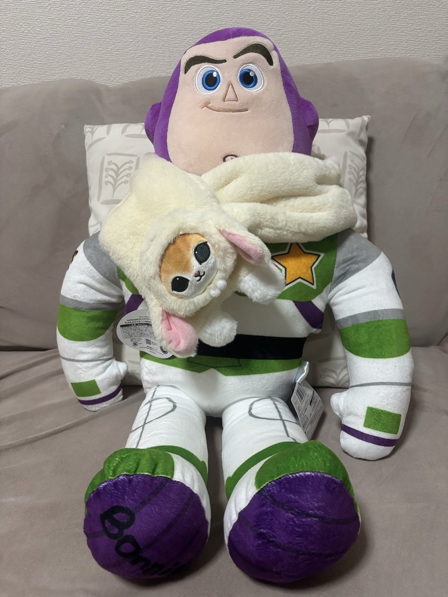 GacchoGA's tweet photo. 今日は、クレーンゲームで
バズーとネコのマフラーが取れた✨
ちゃんと足の名前が
Andyから変わってるのが
いいね👍 https://t.co/1mc8MX29Vg