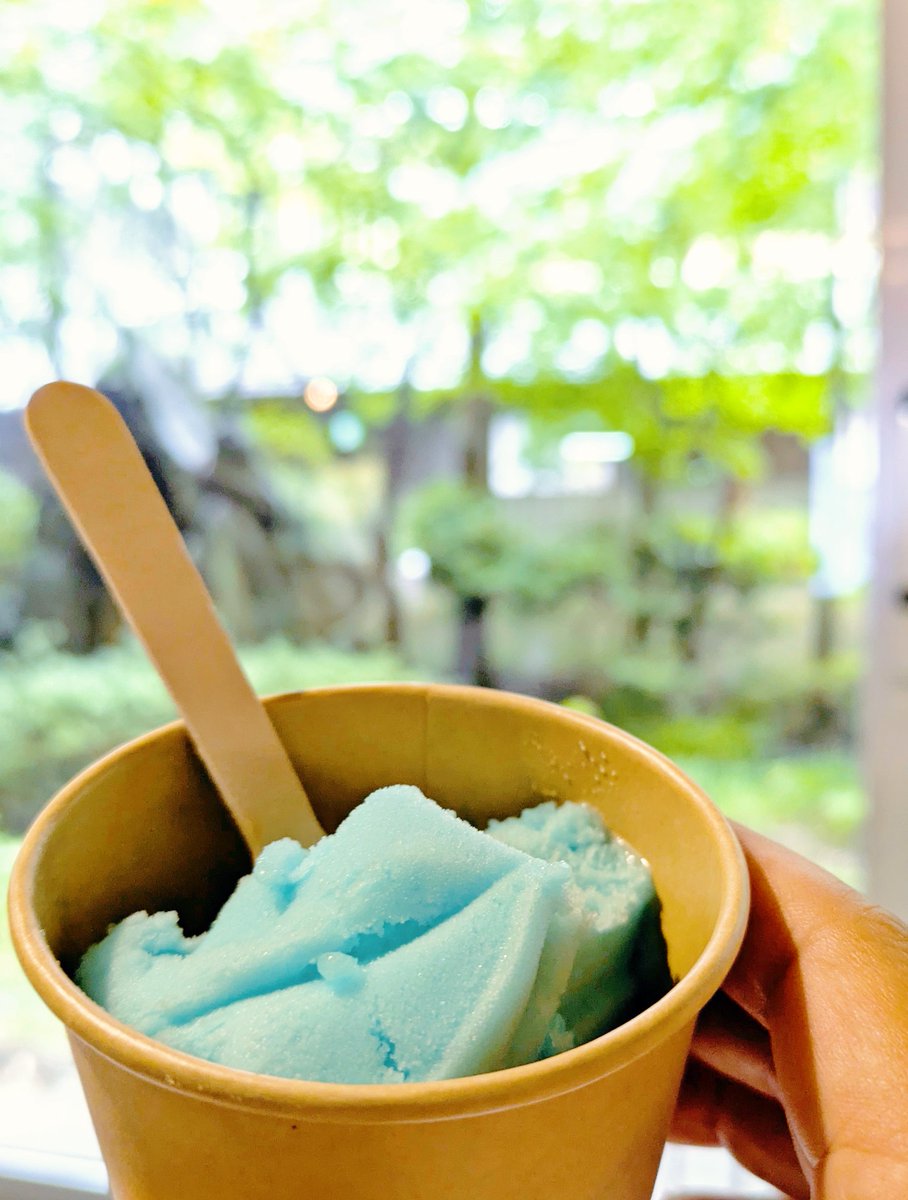 salut_1006's tweet photo. 四万温泉に行ってきましたー☺
お湯も素晴らしかったんですけど、泊まった四万グランドホテルさんの中のBARがまた良くって✨️マスター面白いし、お酒の品揃え半端ないし美味いし、ウインダムとキングジョーとかウルトラ怪獣いるし(なんでや) https://t.co/wTQVNZveXR