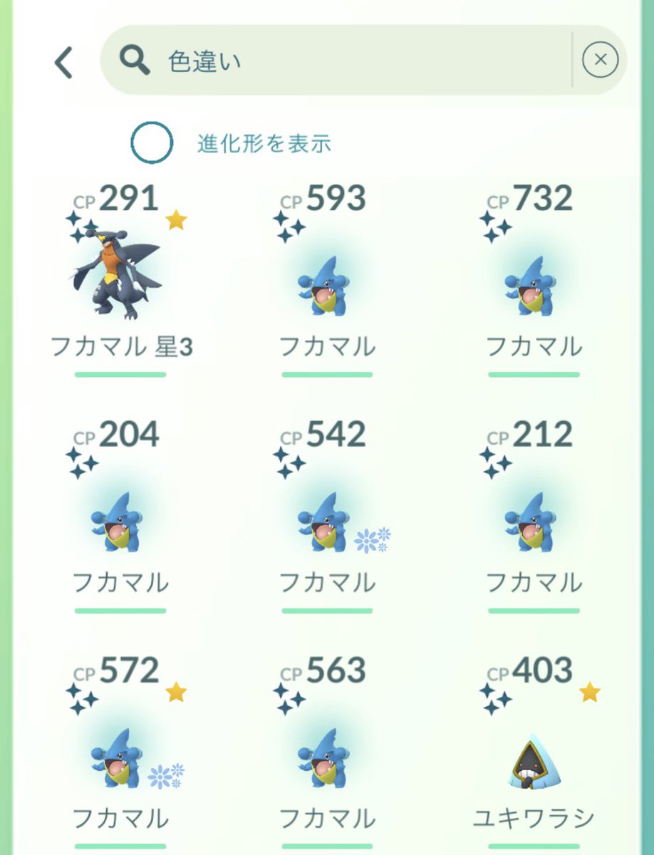 Kuronome_0528's tweet photo. 今日のフカマルコミュデイの結果！！
八体色違い 二体色背景！！
一体星3！！大満足！！ https://t.co/4FNe3UfuYl
