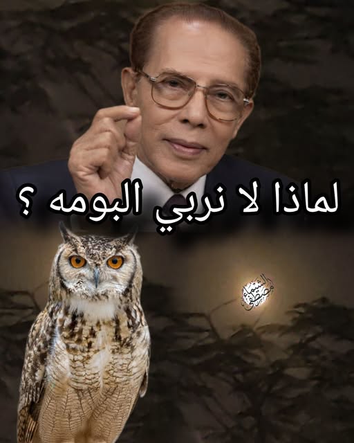 aserasorat's tweet photo. 👀 لماذا لا نربي البومه ؟
دكتور مصطفي محمود بيقول البومة، الطائر المتهم المظلوم أول ما بيسمعوا صوته بينعب في الخرائب بيتشائموا منه،
لكن في الواقع هذا الطائر لطيف قوي ووديع جدا شديد الوداعة، مستسلم، فيه هدوء غريب جدا، وفي حب للإنسان، خادم للإنسان، ممكن تاخده على حجرك كده
8/1 https://t.co/3J6i4VJqZ7