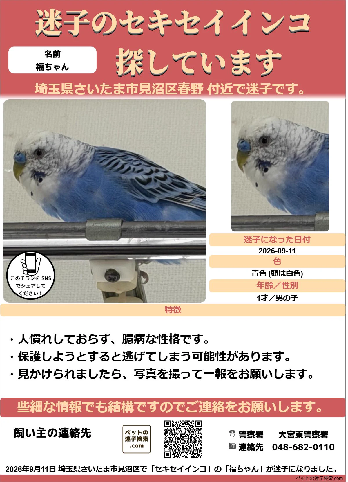 本家】ペットの迷子検索.com on X: 