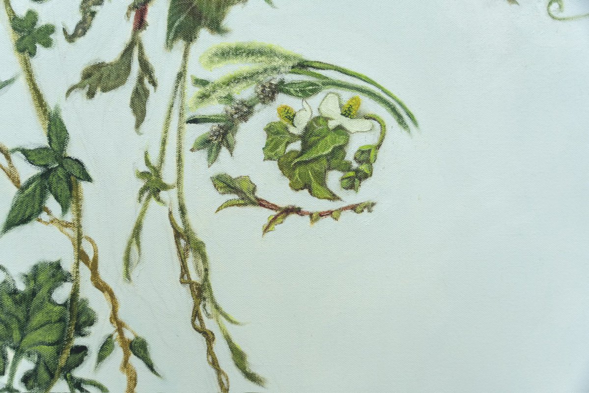 k6__4t's tweet photo. 《生来自由とは》
oil,canvas
984×845mm
2026 https://t.co/vKQ9ZYQysl