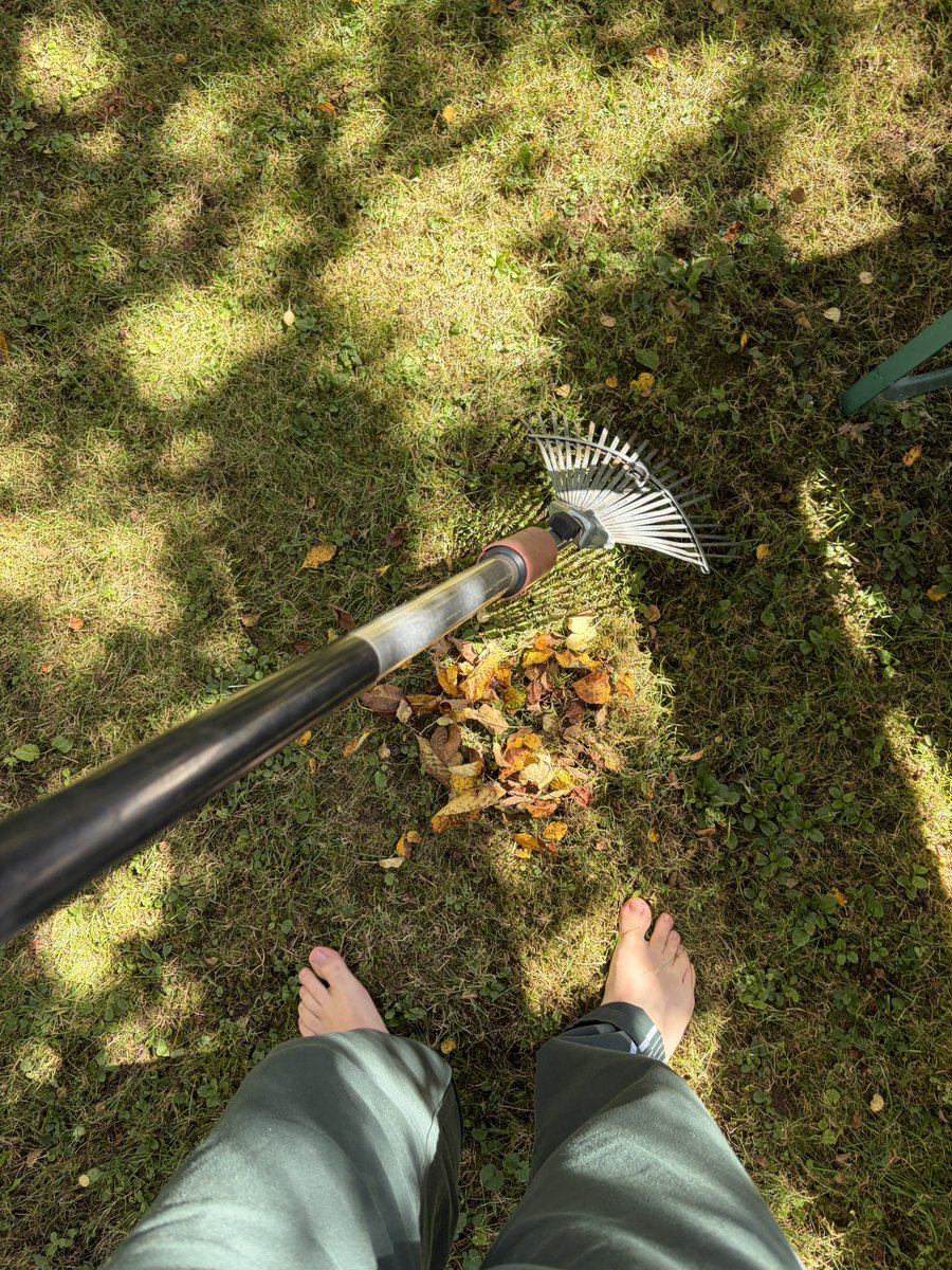 immanuel__cvnt's tweet photo. If you wear shoes to do yard work you’re a weirdo 😤 https://t.co/uZFXywrvFP