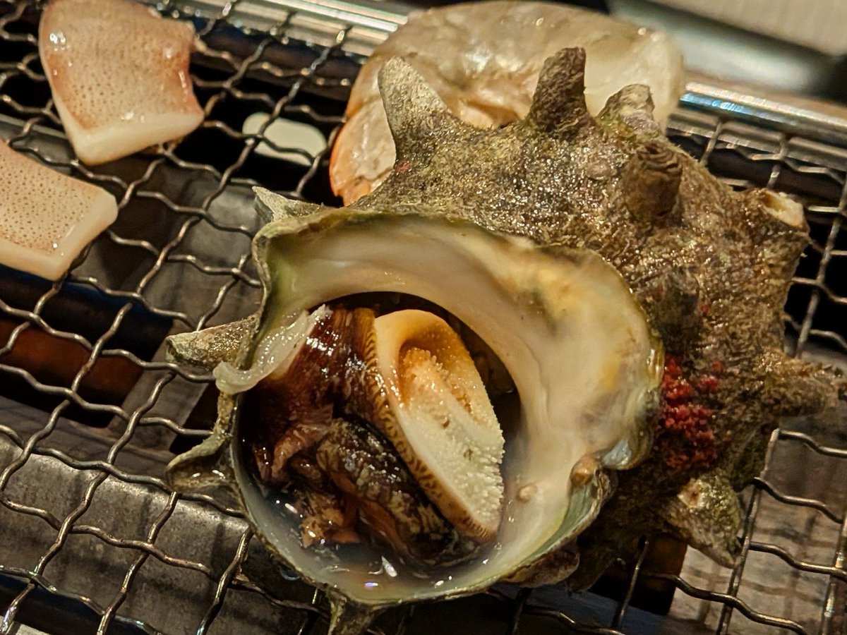 yokoAnzukko's tweet photo. 昨日久々の友達と集まって贅沢な喫茶して夜はお魚
この十年近く食べたかった念願のサザエを食べた！

今日は別の友達と湖月でランチと白玉しるこ
アニメイトで友達が熟考の末に2個だけ買ったのが欲しかったメルエムとコムギで神引きすぎた！ https://t.co/bZyXU1vO0f