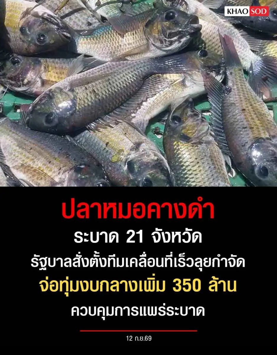 BlackeyeLi4565's tweet photo. ต้นเหตุคือ CP  แต่เอาเงินภาษีไปแก้ปัญหา
ยังรับได้อีกเหรอวะคนไทย⁉️ https://t.co/MPvHr17NZG