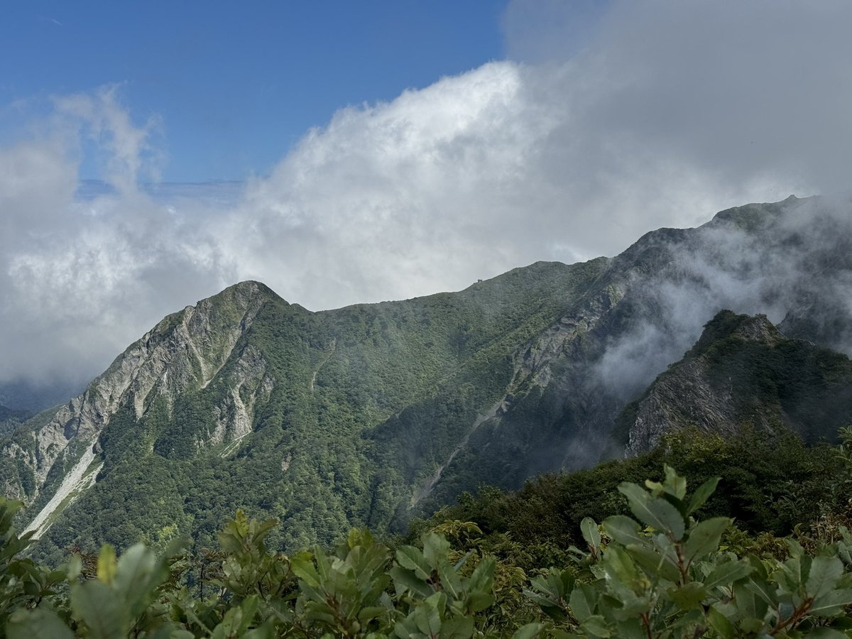 SRmasaApe's tweet photo. 大山登ってきた
上りはずっと霧の中
降りは一瞬晴れた https://t.co/4dzr5JGUeN