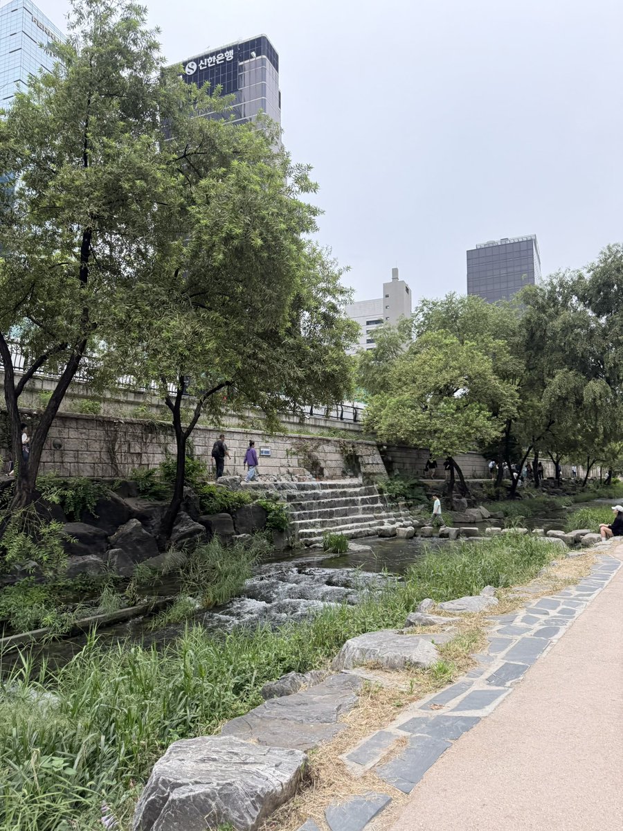 koouuuu_'s tweet photo. 오늘 하루가 어땟냐면 토도우펀 먹고 하루아침에 죽어버린 내 에어팟 새로 구매하고 명동에서 산 불닭오믈렛 먹으러 청계천 갓다가 벌레가 너무너무너무 많아서 먹을 수가 없어갖고 한강으로 자리 옮겨서 신전에 꽈배기 먹고 80살 여자 6명이서 얼음땡하고 멀리뛰기하고 꼬리잡기하고 동물의 왕국햇어 https://t.co/PmnunkKv13