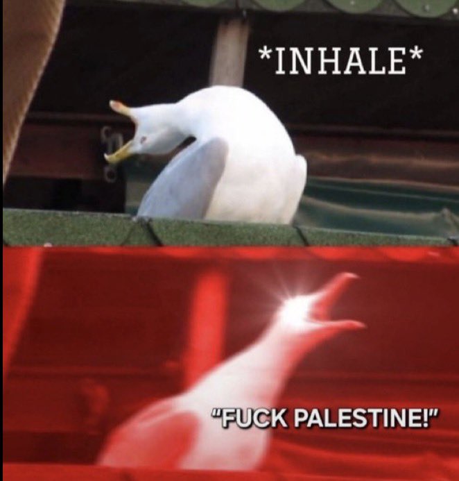 DutchIrani's tweet photo. Fuck Palestine https://t.co/Nqe3a8L7Bl