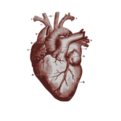 P0IS0NEDBLOOD's tweet photo. https://t.co/13tBQSwFr6