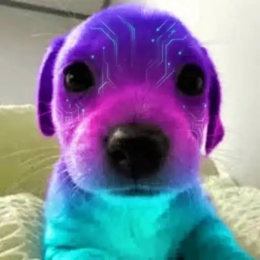 goddevsol's tweet photo. Pumpfun just added Raydium 

Mind you, all of these tokenized stocks are through a RAYDIUM LIQUIDITY POOL.

Raydium is an option in itself and yet we have no meme for it
lets just send a dog named ray?

its cute and it summarizes the entre meta. https://t.co/PHcansA7mO