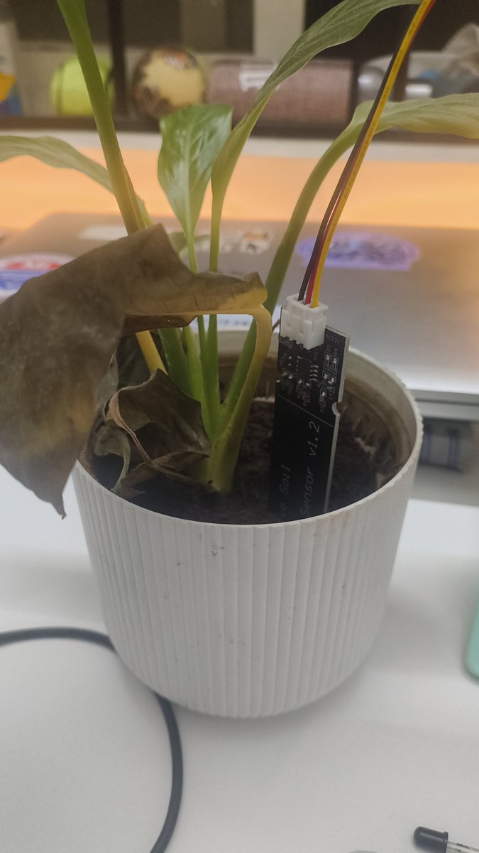 MusicalPlanet3's tweet photo. My Tamagotchi is here finally. Everyone say hello to "Lily". 
Finally did it. An ESP32 desk pet that reads my peace lily's soil and pulls a face about it. Pet the touch pad, it blushes. Let the soil dry out, it becomes sad. https://t.co/bUWPDobwS5