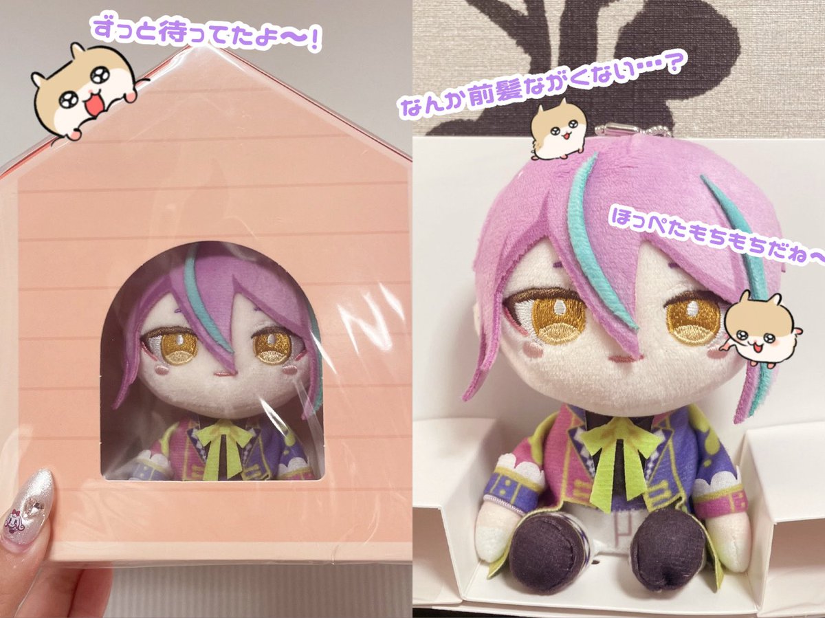 hanaki_pg's tweet photo. ついについに、ずっと楽しみにしてたマイセカイぬいさんが私の家にも到着しました❕🏠💌 https://t.co/g2wlbFToJE