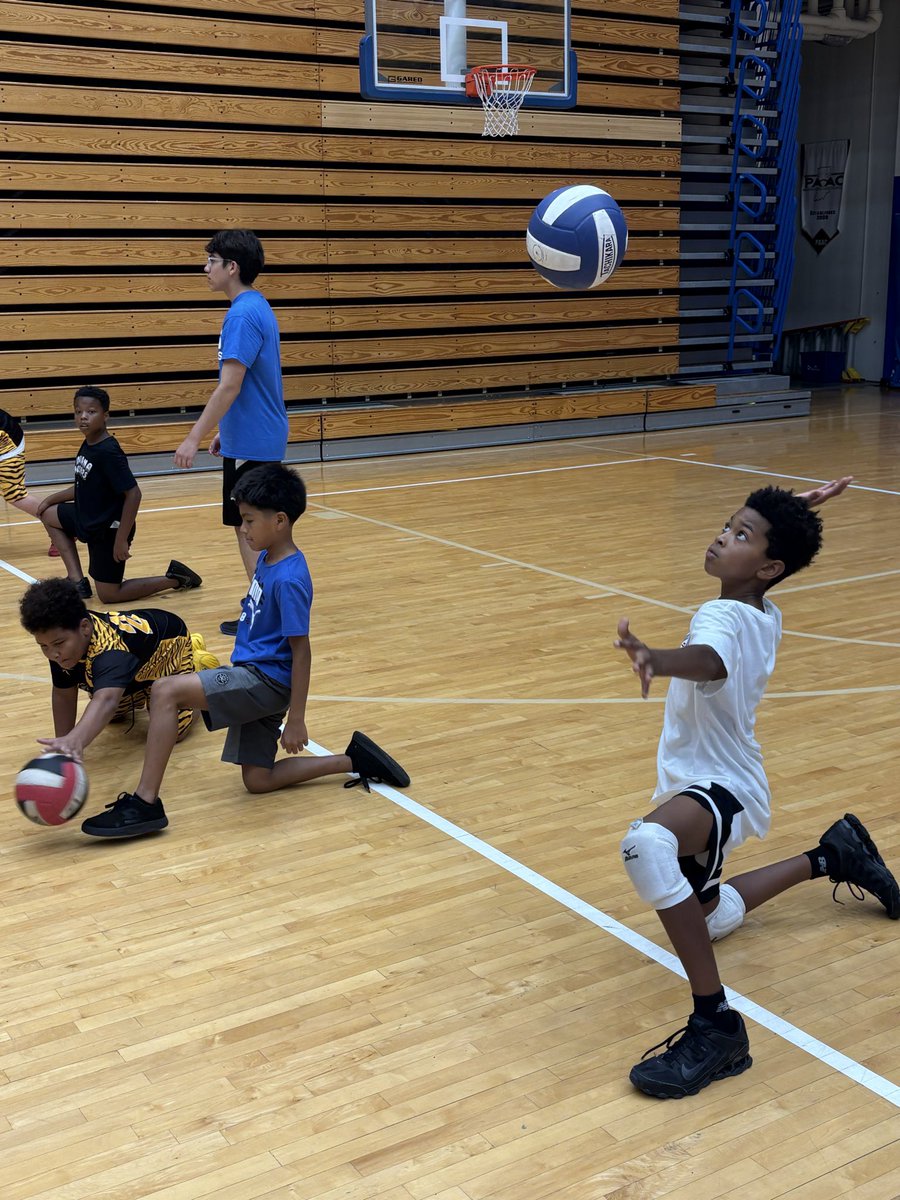 IPSAthletics's tweet photo. Starting our weekend on the volleyball hardwood 🏐💪🏾

@Titanathletics1 &amp; @Blue_Devils_SHS were exceptional hosts today for our Elementary Volleyball Clinics.

Great teamwork, development, &amp; smiles 😁 as everyone had a great start to their Saturday! https://t.co/4wRjHZsmTr