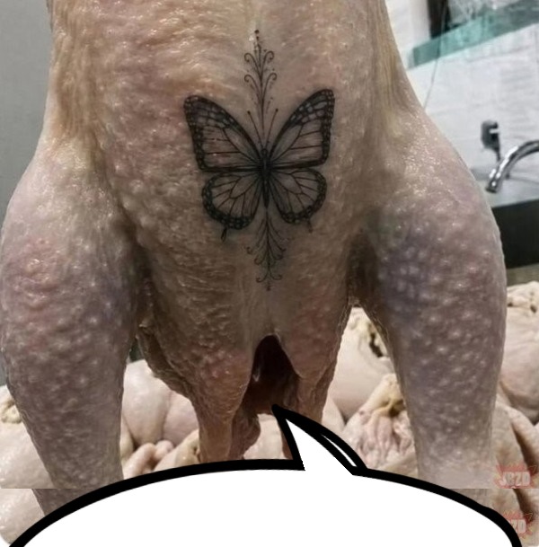 IncelWar's tweet photo. https://t.co/pi8yo6H9PZ