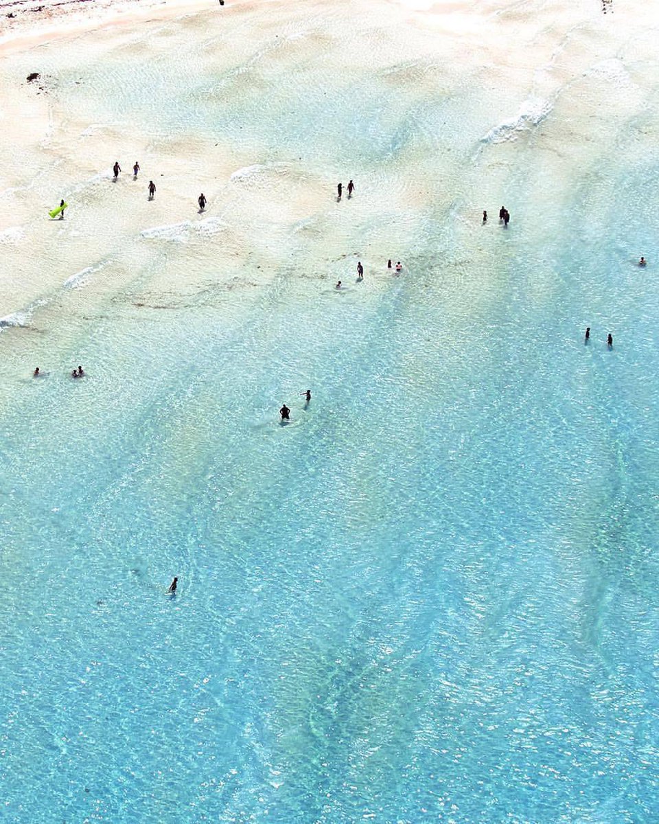 EspirituCurioso's tweet photo. Este alucinante paisaje es una de las playas más bellas que podrías encontrar. ¿Sabes dónde es?

Se trata de Playa Norte, en Isla Mujeres, y basta mirar esta fotografía para entender por qué es uno de los lugares más espectaculares del Caribe Mexicano.

Aquí el agua es uno de los grandes protagonistas. Su transparencia y las diferentes profundidades hacen que el mar vaya cambiando de tonalidad, desde un azul muy claro y casi transparente cerca de la orilla hasta tonos turquesa más intensos conforme aumenta la profundidad.

La arena blanca también juega un papel importante. Al estar bajo una capa de agua tan clara, permite que la luz se refleje sobre el fondo y acentúe todavía más esos colores. El resultado es un paisaje extraordinario, especialmente cuando se observa desde arriba, como en esta fotografía.

Y hay otra característica que hace muy especial a Playa Norte: sus aguas son tranquilas y poco profundas en buena parte de la zona cercana a la playa. Por eso es posible caminar mar adentro durante un buen tramo mientras el agua apenas cubre las piernas.

La combinación de arena blanca, agua cristalina, poca profundidad y ese enorme abanico de tonos azules hace que el paisaje tenga una apariencia realmente impresionante. No hace falta agregarle demasiado para entender por qué tanta gente queda sorprendida cuando llega por primera vez.

Quizá por todo esto no sorprende que Playa Norte haya vuelto a aparecer entre las mejores playas de México en los premios Travelers’ Choice Best of the Best 2026 de Tripadvisor, ocupando el sexto lugar de la lista. 

Pero viendo esta fotografía, más que una clasificación, lo que queda claro es la extraordinaria belleza natural que tiene este rincón de Isla Mujeres.

Espíritu Curioso, tan solo al ver la fotografía, ¿tú cómo describirías Playa Norte de Isla Mujeres? Cuéntame en comentarios.

📸 IG: anthrofieldschool