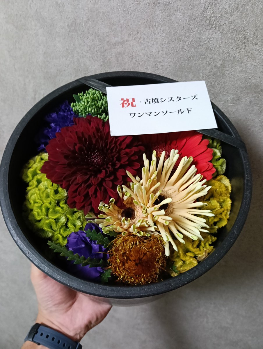 mmmatiya's tweet photo. 京都nanoワンマンありがとうございました！古墳は無事高松へ帰りました！
モグラさんがエンドSEとして流してくれた情熱の薔薇で大合唱起きてたのめちゃくちゃおもしろかったです笑
いただいた花は基本灰色の松本宅を彩ってくれることになりましたｱﾘｶﾞﾄｳ!🙇🏻‍♂️ https://t.co/FIPsTGhCT6