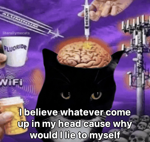 literallymecats's tweet photo. https://t.co/AQvxLk45Xx