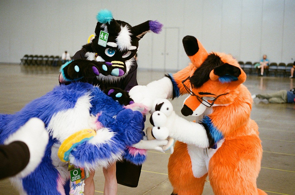 Burgey_22's tweet photo. He ate the last cookie, so me and Cosmic had to beat him up!💢

💙: @HenryBoudreau7
🖤: @CosmicTheFur
📸: Axel-Wolf - Furtrack https://t.co/7jhmTcR5if
