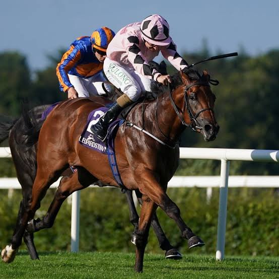 HORSERACING1002's tweet photo. HOTAZHELL🇬🇧2022
(TOO DARN HOT ▪︎ AZENZAR BY DANEHILL DANCER)
#Hotazhell
Irish Champion Stakes G1
1 mile 2f
€725,000
Leopardstown https://t.co/eGCLPBEgua