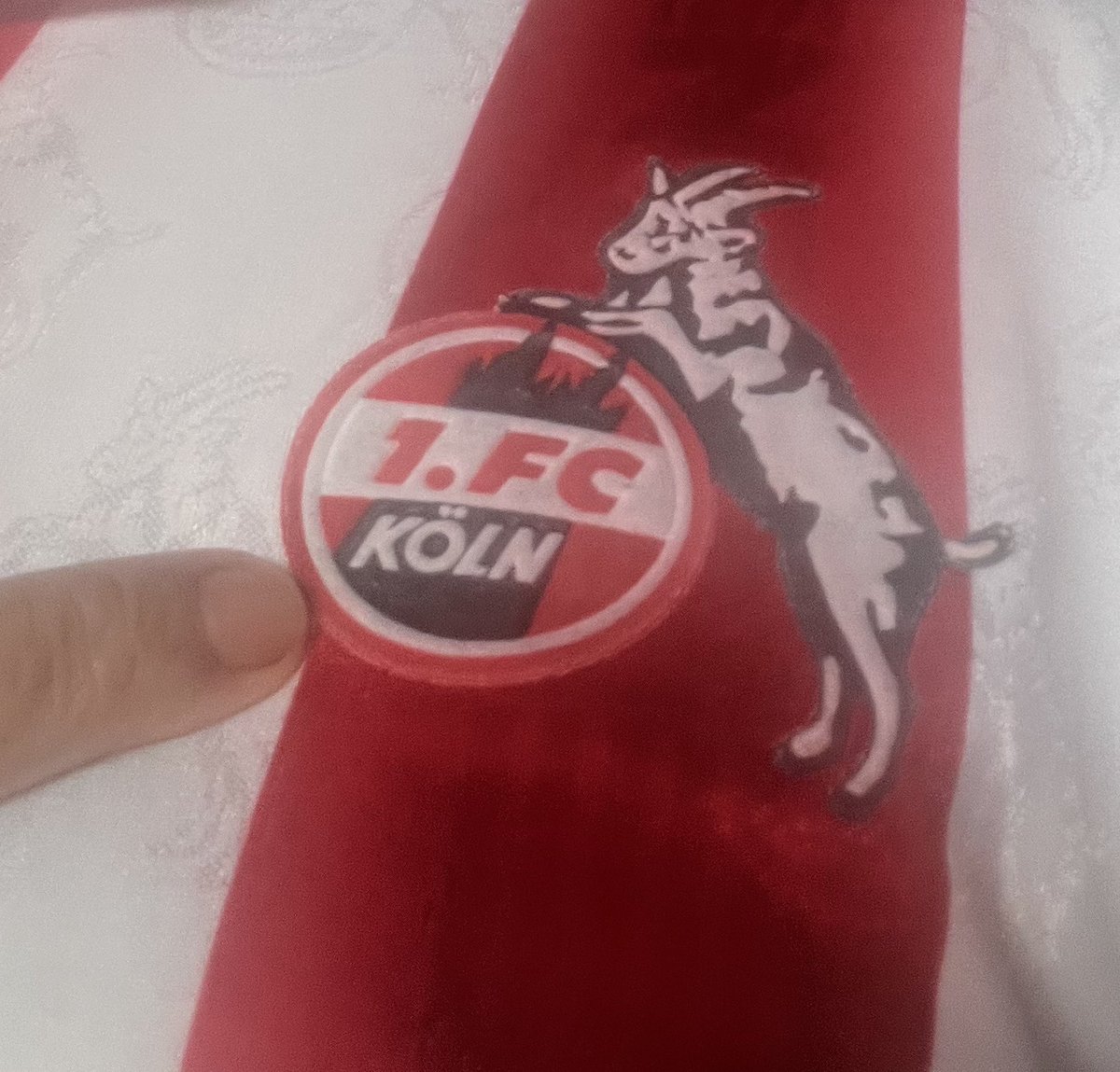 GeissbockSNH's tweet photo. Spilldach!!! #Effzeh gib Gas - auf 3 weitere Punkte zum Klassenerhalt!!!

#fckoeln #Koeln #Muengersdorf #RES #Bundesliga #Dfl #Klassenerhalt #Bremen https://t.co/2tAyHVQ9gg