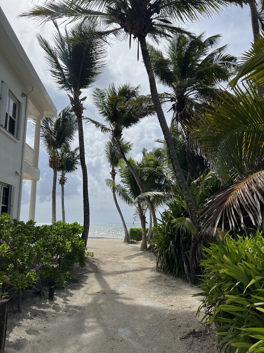 taemar_shakur's tweet photo. Morning run in Belize 🇧🇿 🌴 https://t.co/yJuL70GuoG