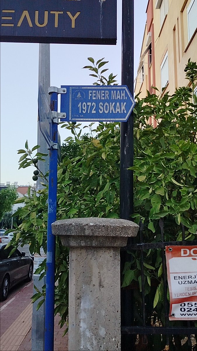seda_su7's tweet photo. Allahın belası @MuratpasaBld 

1972 sokakta daha 5 dk önce şu görmüş olduğunuz it'in saldırısına uğradım. Sokak boyunca domuz gibi kovaladı beni!!! 

@Av_umituysal diyor ki bu başıboş köpekleri toplamak benim görevim değil Sayın Bakanım @mustafaciftcitr  @antalyadkmp https://t.co/h1AfKElcRw