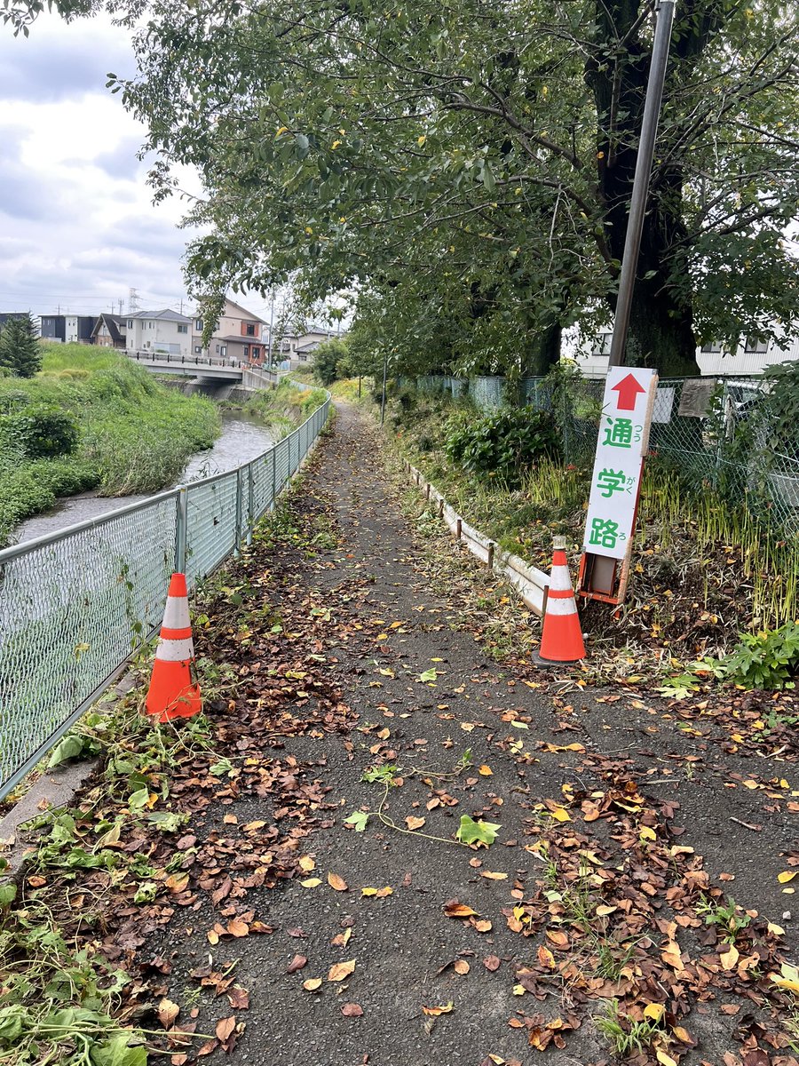 mizunotoshio's tweet photo. 移動の合間に、染谷川の遊歩道で絡まったツルやらクズやらを退治

①５月に河川整備してから半年でこんなになるとは…
↓
今、手を入れれば、さほど苦労せずに現状を維持できるため、ヤッケと長靴を履いて、ノコギリ鎌でバッサ、バッサ！
↓
②③一部区間ですが、きれいになりました♡

#チョコボラ https://t.co/2vrtU2scUO