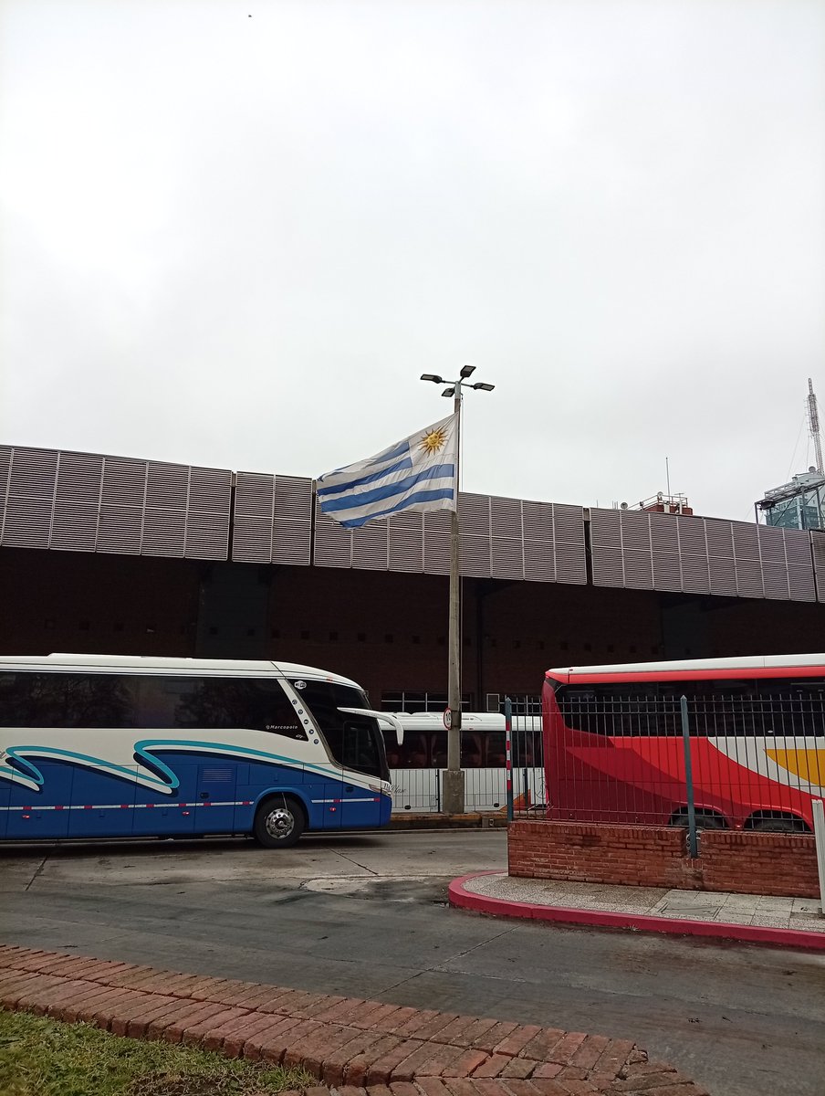 Dweveee's tweet photo. es muy bella mi bandera mi bandera, nada igual a su lucir su lucir https://t.co/i8gk4Trxg8