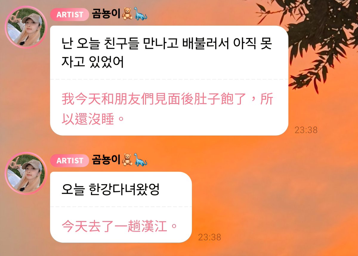 titotito2245's tweet photo. 260913  Dami 🫧 bubble 🫧  

🐼：去漢江吃了炸雞和拉麵！！
        
#Dami #Dreamcatcher https://t.co/mwPEvQa1Us