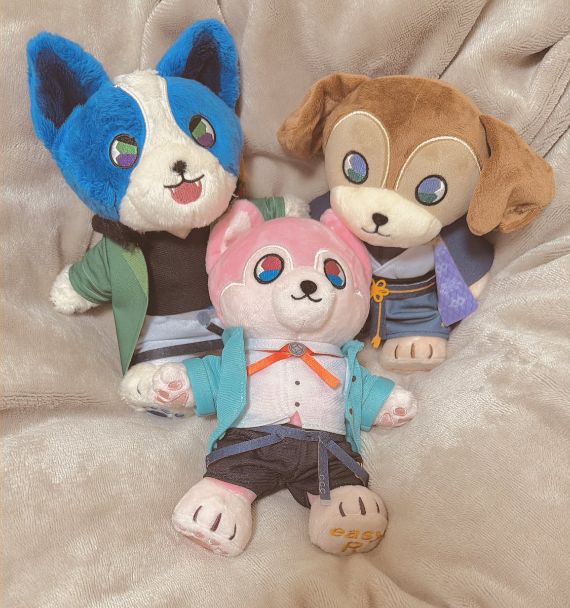 nando_dage's tweet photo. おやすみ、ポセちゃん… https://t.co/DJqHQpDcAG