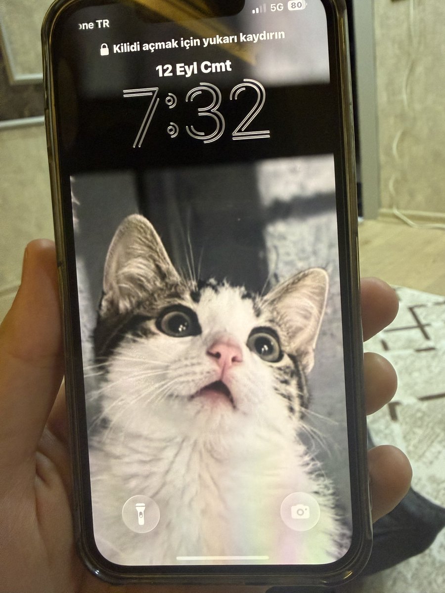 Saratkn2's tweet photo. Gördüğüm en güzel duvar kâğıdı 🐾 https://t.co/t85PEv8E5w