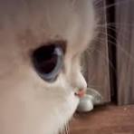 wanderingsiren's tweet photo. @cookiekooked wh..what..whats gonna happen.. https://t.co/tAVFJkKEZu