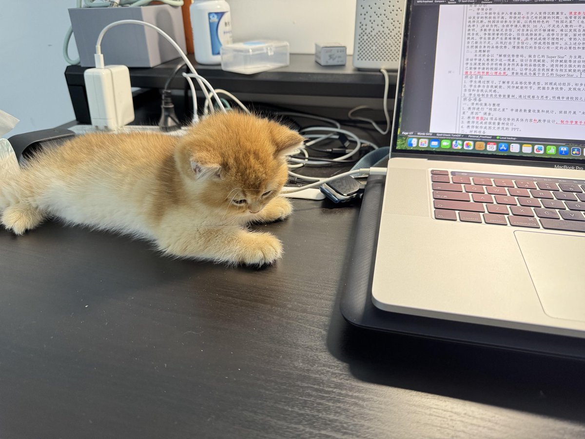 xnan0001's tweet photo. Could you help me come up with a name for the new member? https://t.co/3TByHxZGX5