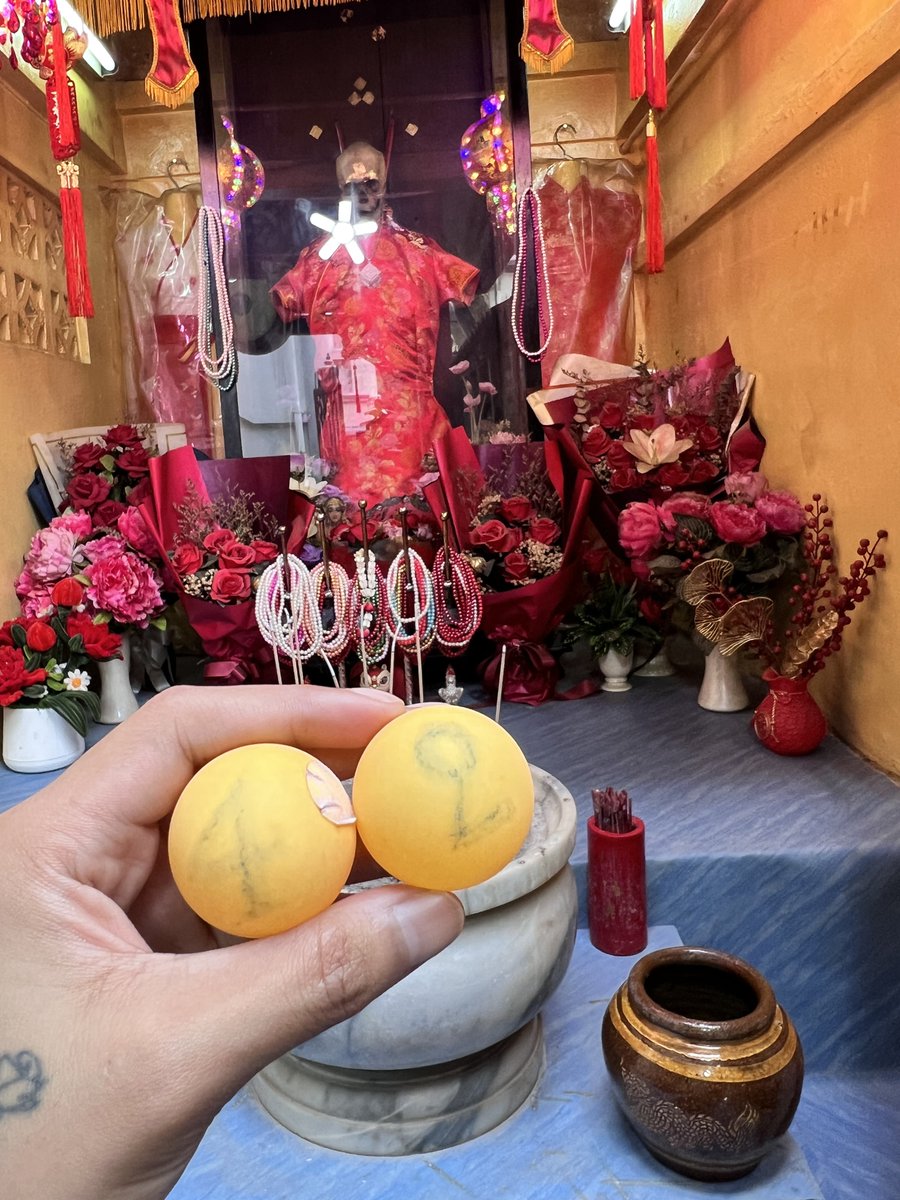 gangbearegg tweet picture