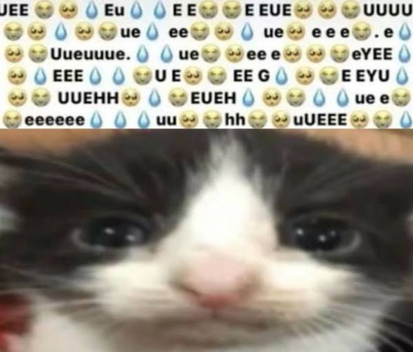 Random48angel's tweet photo. @cremeb3rrie @gore_puppyTwT SORRY I THOUGHT IT WAS AN IMAGE SO I CLICKED THE REQUEST BUTTON JUST TO SEE AND IT MADE ME REQUEST LOL..Do NOT accept my request brotolini https://t.co/ybewXe3zEn