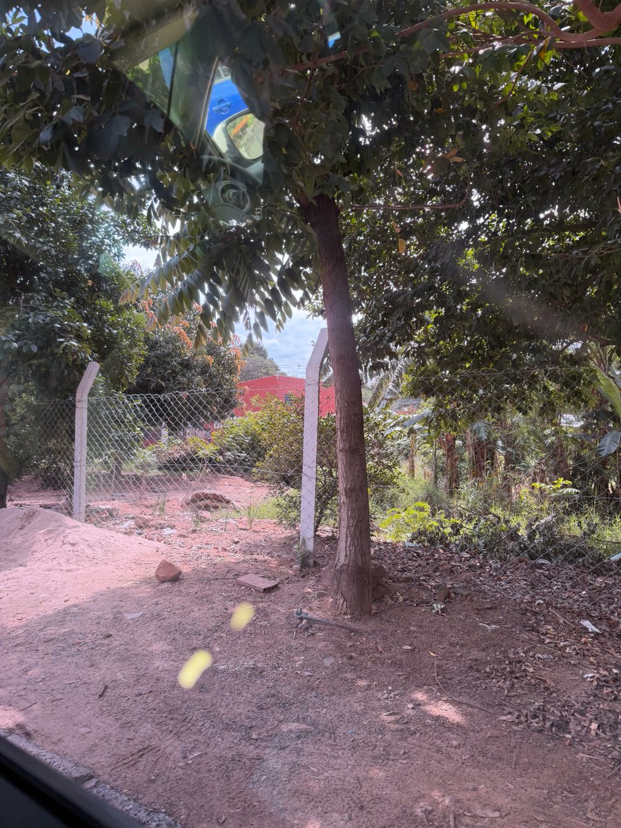 hispanicnomad's tweet photo. Update: I talked to the police and I followed my phone’s last location with a patrol

Feel like I’m in a James Bond movie, or perhaps in the Favela map in Modern Warfare 2

They even had a shotgun with them, but I didn’t get to fire it 😢 https://t.co/2i3IuJr75X