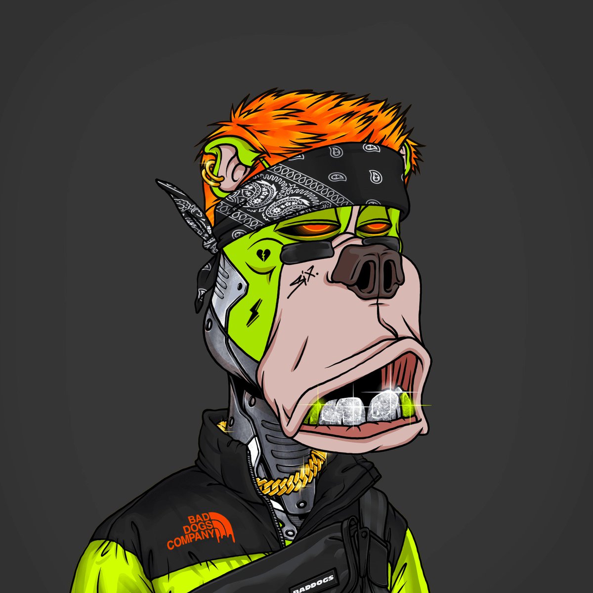PryceRock90's tweet photo. THE FUTURE STILL BELONGS TO THE DOGS. 🐾⚡️
BDC4EVA. https://t.co/UdAzNb5awT