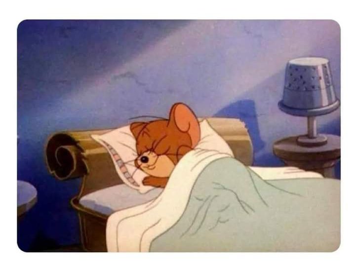 feydisciplina's tweet photo. Yo durmiendo bien tranquilo porque sé que Dios me protege: https://t.co/FUpcAxpnca