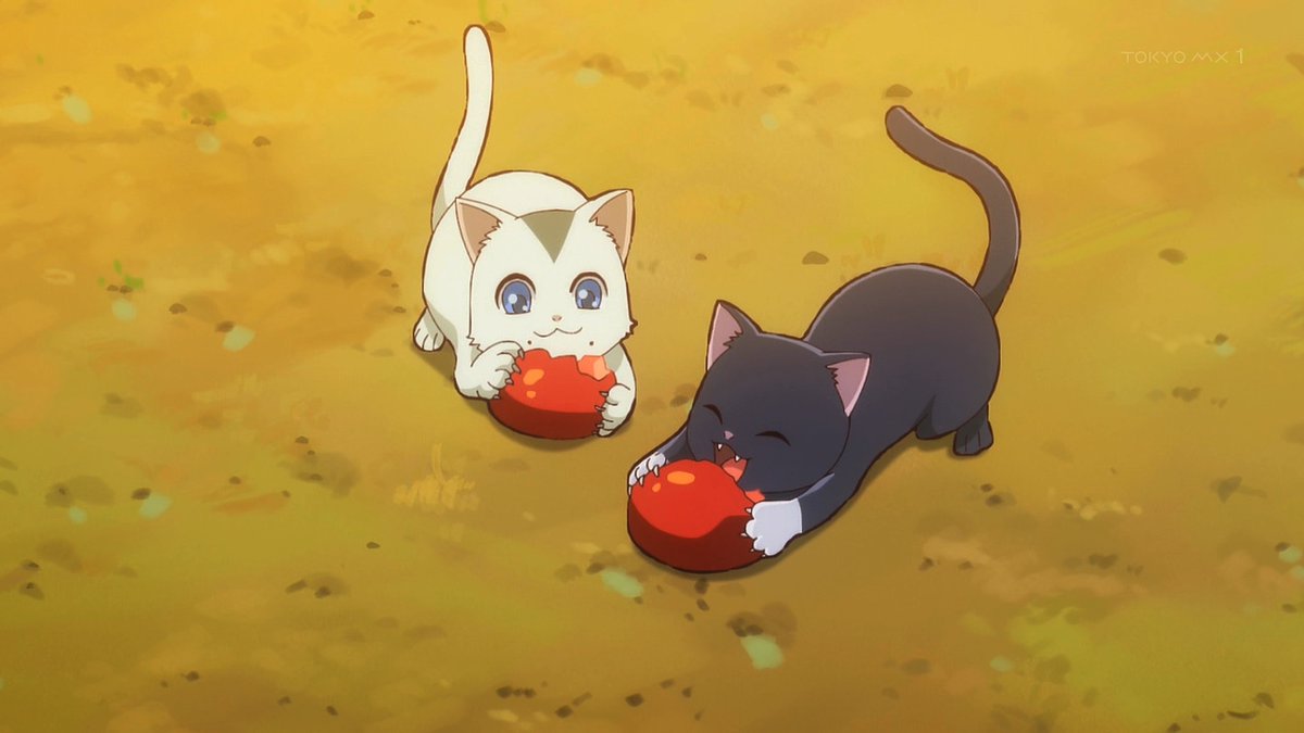 猫と竜 第11話 ツイート画像 1